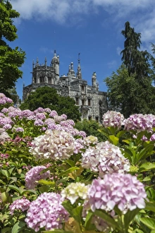 Flowers frame old mystical buildings of Romanesque Gothic and Renaissance style Flowers frame old mystical buildings of Romanesque Gothic and Renaissance style