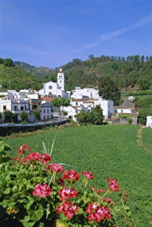 Gran Canaria Landscape Prints: Fontanales