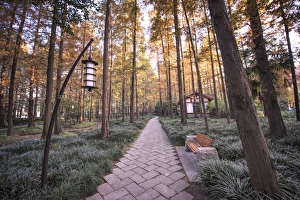 Forest path with bench and lanterns in a West Lake park, Hangzhou, Zhejiang, China, Asia Forest path with bench and lanterns in a West Lake park, Hangzhou, Zhejiang, China, Asia
