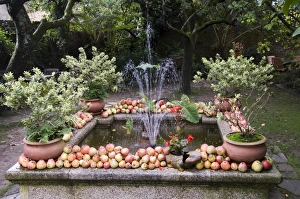 Nature Photography In Spain Prints: Fountain with apples