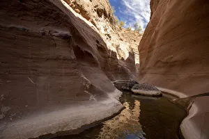 Fresh water in a slot canyon at Mesquite Canyon, Sierra de la Giganta Fresh water in a slot canyon at Mesquite Canyon, Sierra de la Giganta