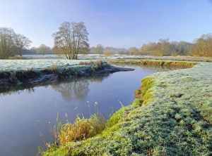 A frosty morning on Surrey Wildlife Trusts wetland reserve, The River Wey at Thundery Meadows A frosty morning on Surrey Wildlife Trusts wetland reserve, The River Wey at Thundery Meadows