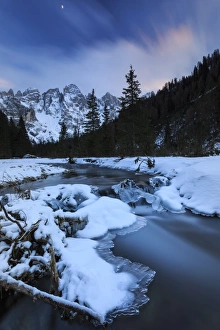 A frozen creek under a cold winter sky, Venagia Valley, Panaveggio Natural Park, Dolomites A frozen creek under a cold winter sky, Venagia Valley, Panaveggio Natural Park, Dolomites