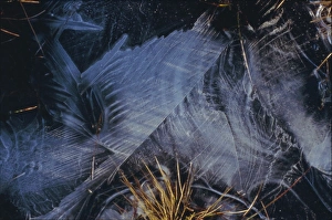 Contemporary Scottish Landscapes Prints: Frozen Pond