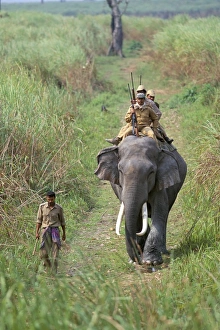 Kaziranga National Park India Prints: Game guards patrolling on elephant back