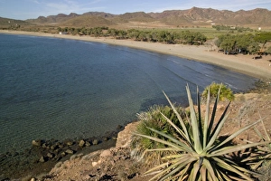 Images Dated 11th January 2000: Genoveses Beach Print, Almeria Coastline