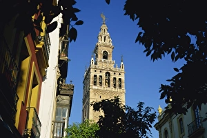 Giralda Tower Spain Prints: The Giralda framed by trees