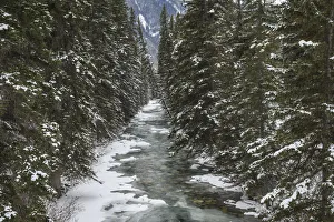 A glacial mountain river runs through a spruce forest in winter, Banff National Park, UNESCO World Heritage Site A glacial mountain river runs through a spruce forest in winter, Banff National Park, UNESCO World Heritage Site