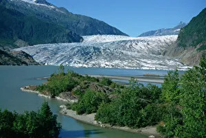 Glacier flowing from the Juneau Icefield to the proglacial lake Glacier flowing from the Juneau Icefield to the proglacial lake
