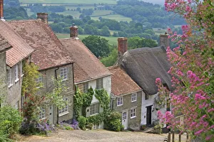 Gold Hill Print: Shaftesbury, Dorset, England in June