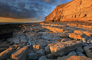 Welsh Coastline Photography Prints: Golden evening light on the limestone cliffs