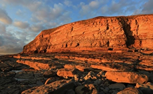 Wales Coastal Views Prints: Golden evening light on the limestone cliffs