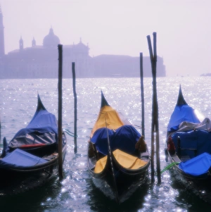 Venice Canals Prints: Gondolas, S