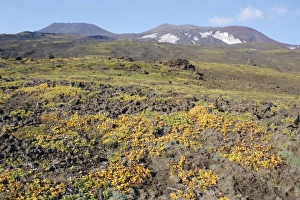 Russian Tundra Landscape Prints: Gorely volcano