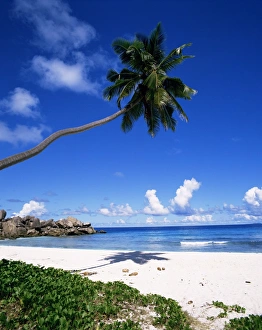 Seychelles Travel Destination Prints: Grand Anse