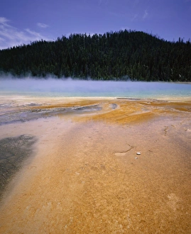 Midway Geyser Basin Prints: Grand Prismatic Spring