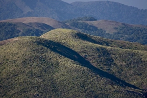 Kerala Travel Destination Prints: Grasslands, Mangala Devi Peak, Periyar, Kerala, India, Asia