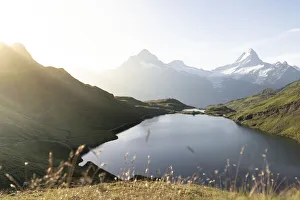 Green meadows surrounding Bachalpsee lake lit by sunrise, Grindelwald, Bernese Oberland Green meadows surrounding Bachalpsee lake lit by sunrise, Grindelwald, Bernese Oberland