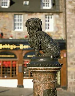 Edinburgh Prints: Greyfriars Bobby Print: Edinburgh's Faithful Companion