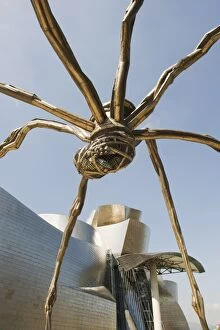 Louise Bourgeois Collection: The Guggenheim, designed by architect Frank Gehry, and giant spider sculpture by Louise Bourgeois