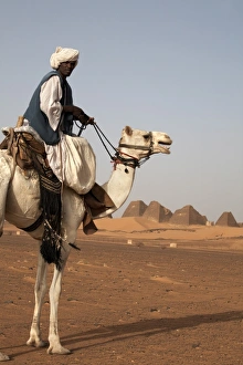 Meroe Pyramids Prints: A guide and camel stand in front of the pyramids of Meroe