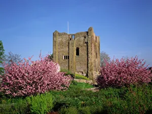 Great Britain Architecture Prints: Guildford Castle, Surrey, England, United Kingdom, Europe