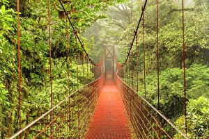 Cloud Forest Costa Rica Prints: Hanging bridge in a cloud forest