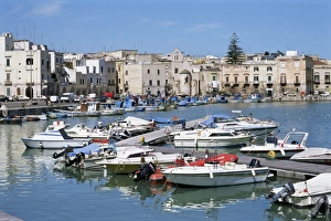 Puglia Italy Prints: The harbour