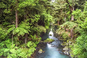Hatea River landscape at the Whangarei Falls, a waterfall in the Northlands Region of Hatea River landscape at the Whangarei Falls, a waterfall in the Northlands Region of