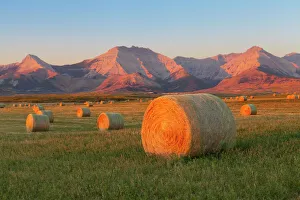Hay bales in a field with the Rocky Mountains in the background, near Twin Butte Hay bales in a field with the Rocky Mountains in the background, near Twin Butte