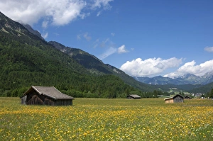Austrian Countryside Images Prints: High summer pasture, Sonnenterrase area, Austria, Europe