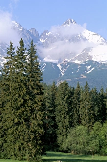 Prints of High Tatra Mountains from Tatranska Lomnica, Slovakia, Europe Slovakia Prints: High Tatra Mountains Print from Tatranska Lomnica, Slovakia
