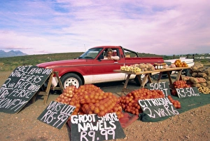 Colorful Travel Destinations Prints: Highway fruit vendor