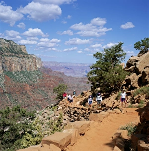 Arizona Hiking Trails Prints: Hikers return from Canyon base