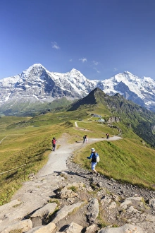 Bernese Oberland Scenic Views Prints: Hikers on the way to Mount Eiger