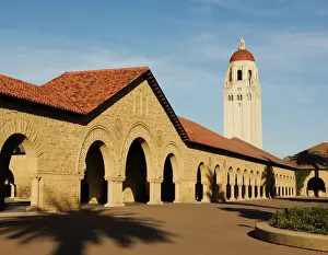 Universities And College Prints: Stanford University Hoover Tower Print, Palo Alto