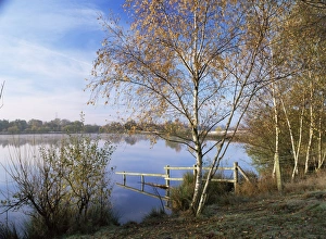 Prints of Horseshoe Lake, a flooded gravel pit, Sandhurst, Berkshire, England, United Kingdom, Europe Lake Prints: Horseshoe Lake Print, Sandhurst, Berkshire