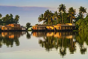 Houseboats moored at dawn after the overnight stay on the popular backwater cruise Houseboats moored at dawn after the overnight stay on the popular backwater cruise