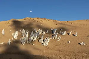 Ice under a full moon in the Eduardo Avaroa Andean Fauna National Reserve Ice under a full moon in the Eduardo Avaroa Andean Fauna National Reserve