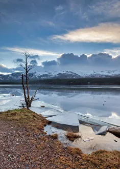 Ice sheets in severe winter weather on Loch Morlich, at daybreak Ice sheets in severe winter weather on Loch Morlich, at daybreak