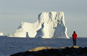 Icebergs In Greenland Prints: Icebergs in Disko Bay
