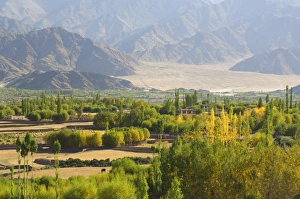 Indian Himalayan Region Prints: Indus Valley