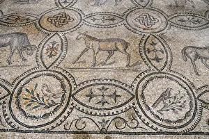 Interior of the Cathedral with the mosaic pavement, UNESCO World Heritage Site, Aquileia Interior of the Cathedral with the mosaic pavement, UNESCO World Heritage Site, Aquileia