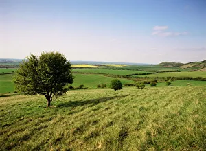 Buckinghamshire Prints: Ivinghoe Beacon Print from the Ridgeway Path, Buckinghamshire