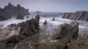 North Devon Coast Prints: Jagged ledges on the dramatic north Devon coast, Devon, England, United Kingdom, Europe