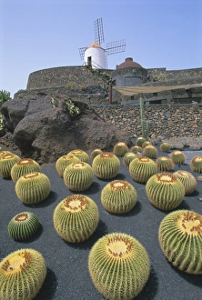 Historical Landmark In Europe Prints: Jardin de Cactus