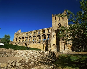 Prints of Jedburgh Abbey, Borders, Scotland, United Kingdom, Europe Scottish Borders Prints: Jedburgh Abbey Print