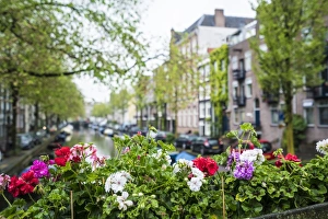 Jordaan district, Amsterdam, Netherlands, Europe Jordaan district, Amsterdam, Netherlands, Europe