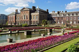 Kensington Palace gardens with tulips, Kensington Gardens, London, England Kensington Palace gardens with tulips, Kensington Gardens, London, England