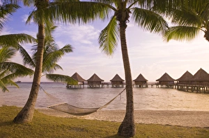 Kia Ora Resort, Rangiroa, Tuamotus, French Polynesia, South Pacific, Pacific Kia Ora Resort, Rangiroa, Tuamotus, French Polynesia, South Pacific, Pacific